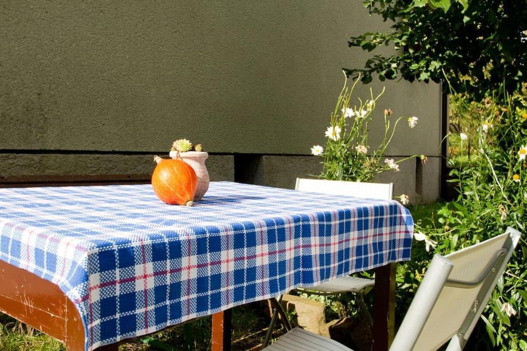 Cozy Rooms In Nature, Perfect For Relax Ilirska Bistrica Exterior photo